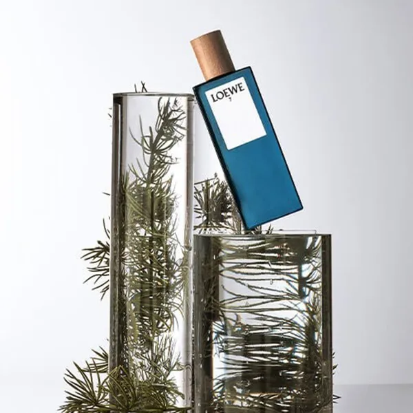 Loewe 7