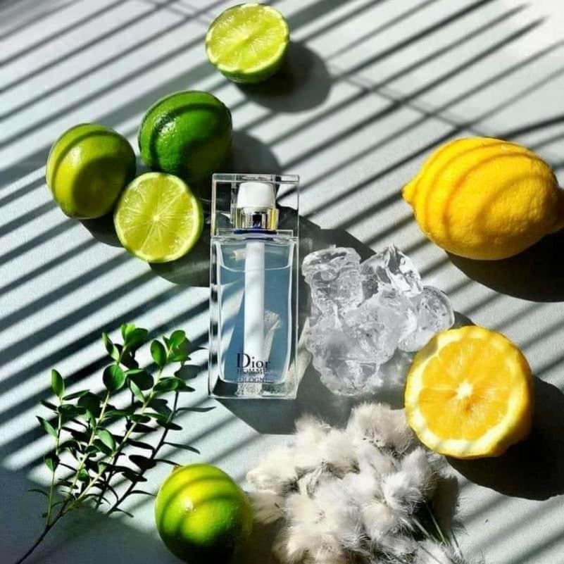 Dior Homme Cologne