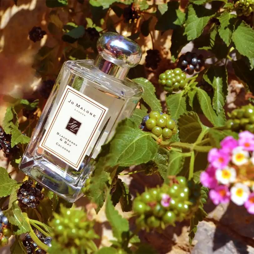 Nước Hoa Unisex Jo Malone Blackberry & Bay EDC Chính Hãng