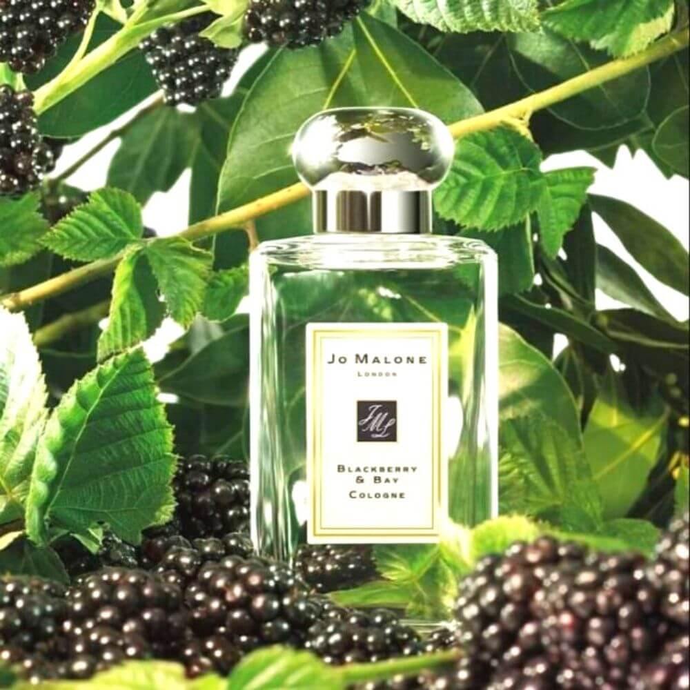 Jo Malone Blackberry