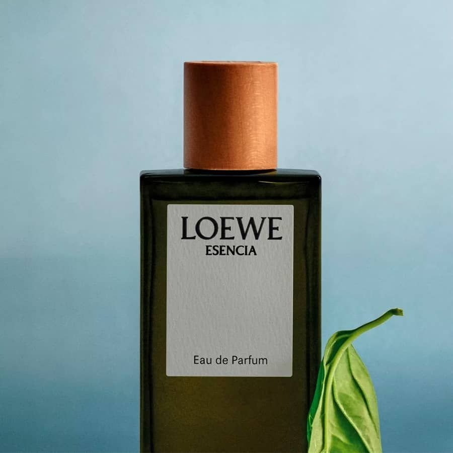 Nước Hoa Loewe - Esencia Pour Homme EDP 100ml