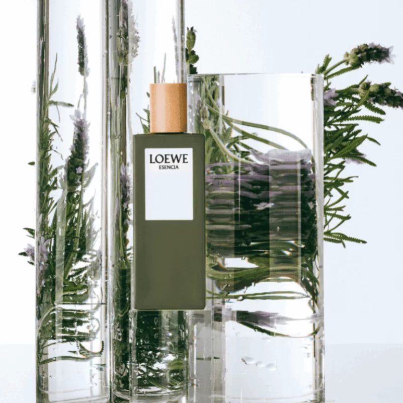 Nước Hoa Loewe Esencia Pour Homme EDT