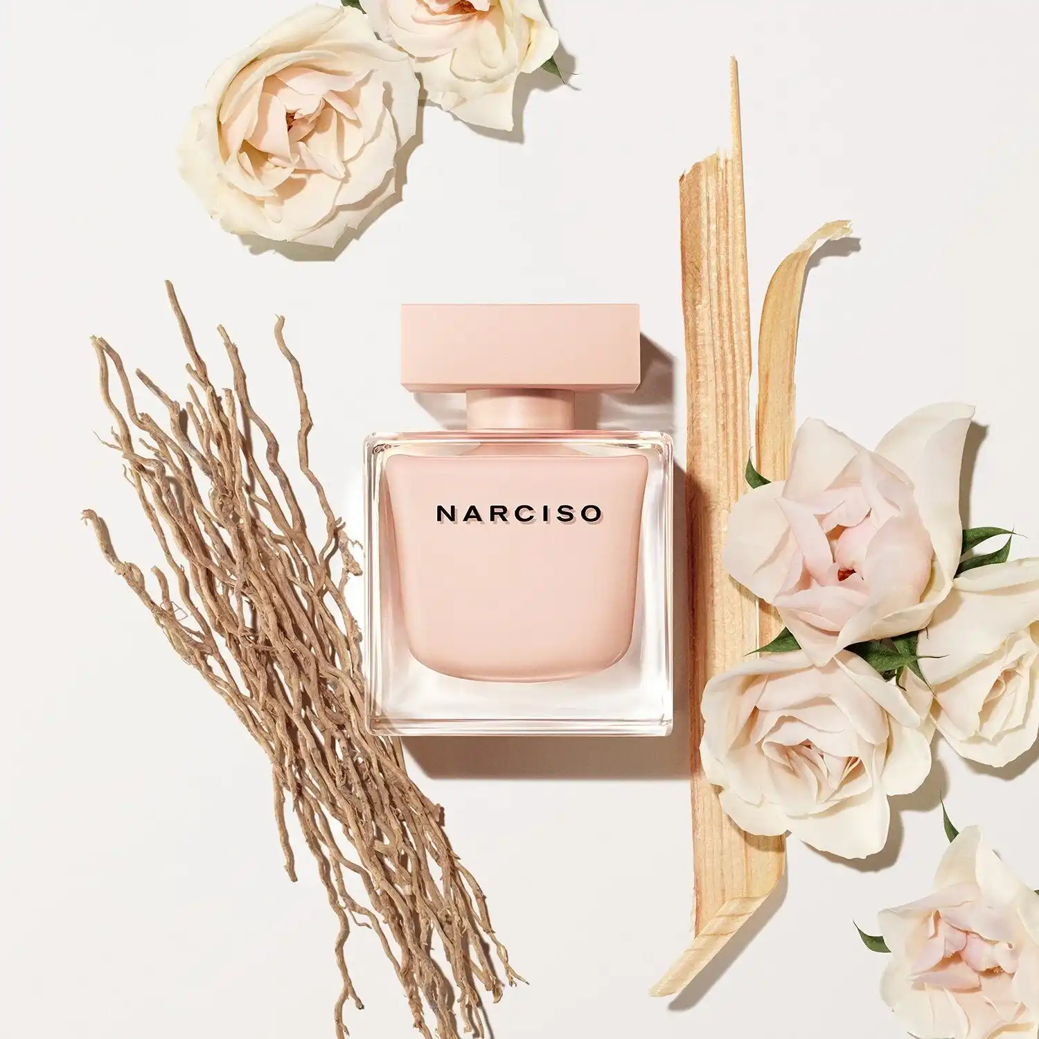 Narciso Poudree EDP