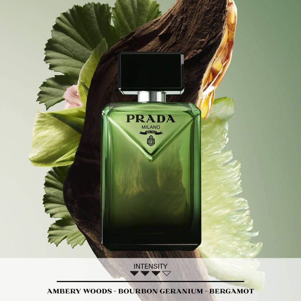 PRADA Paradigme Eau de Parfum – Kallos